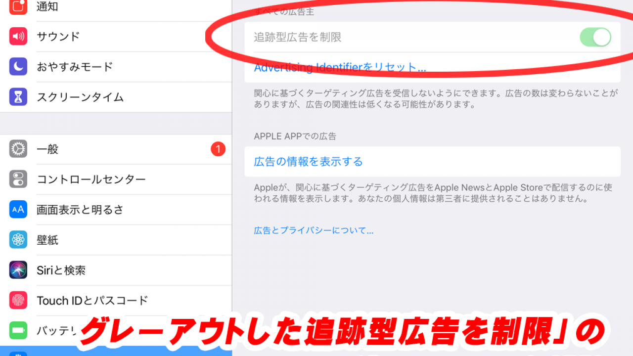 Ios12 13の 追跡型広告を制限 がグレーアウトして設定が変更できない場合の対処 Pype Org