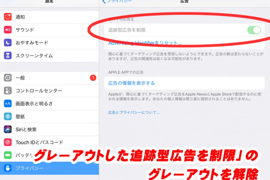 Ios12 13の 追跡型広告を制限 がグレーアウトして設定が変更できない場合の対処 Pype Org