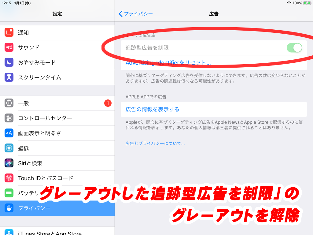 Ios12 13の 追跡型広告を制限 がグレーアウトして設定が変更できない場合の対処 Pype Org